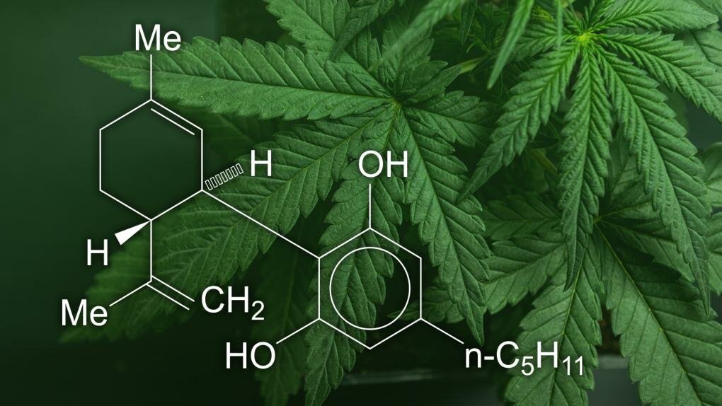 What is CBD? What is CBD?